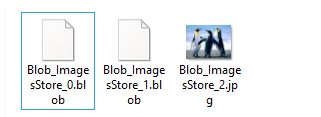 Converting BLOB file to image file by renaming *.blob extension to *.jpg
