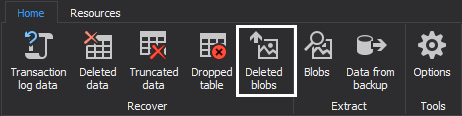 Choosing the Recover deleted BLOBs option