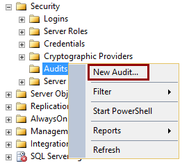Selecting the New Audit option