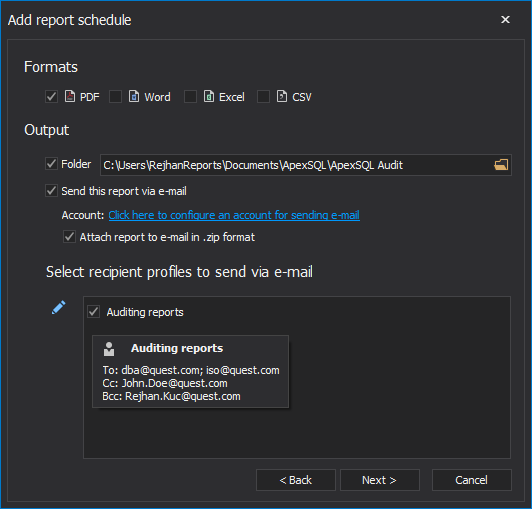 Audit report schedule output setup