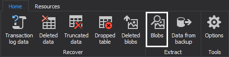 Selecting Extract BLOBs from a database option