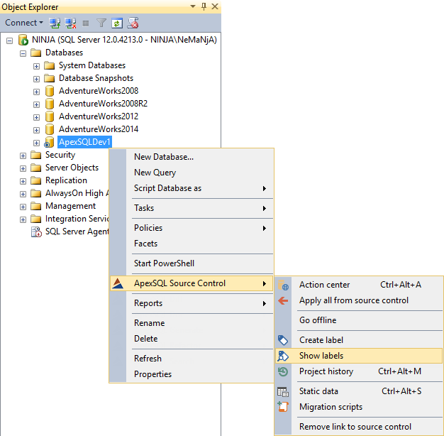 SQL Server database continuous integration workflow commit step ...