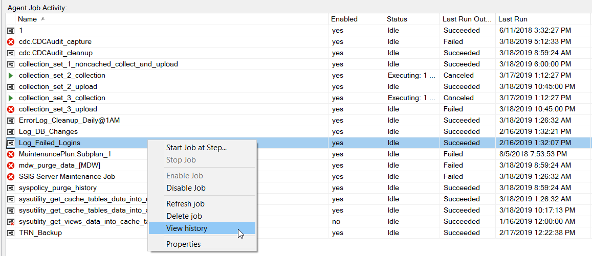View execution history of specific SQL Server Agent job from Agent Job Activity