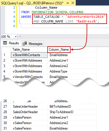 An executed query with a list of column names returned for a search term with wildcards