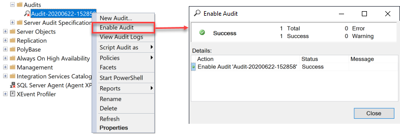 Enable Audit dialog