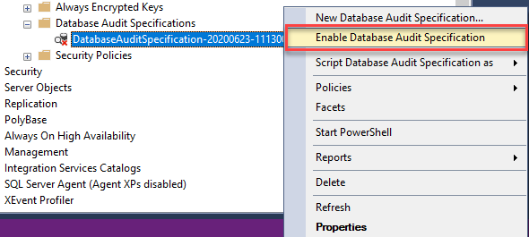 Enable database audit specification

