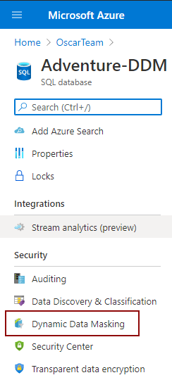 Dynamic data masking feature in Security tab
